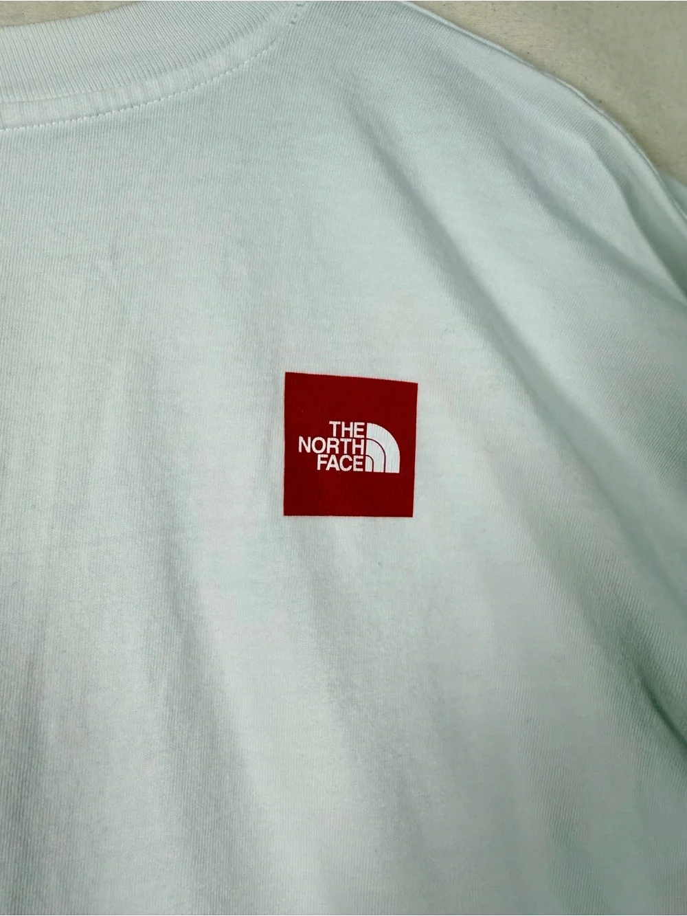 The North Face White Tee with Blue Mountain Graphic